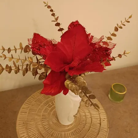 Cantinho Feliz, Angolo Della Felicita * نابولي
